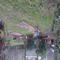 https://xinroot.com/files/pics/backyard/20230222_174548.jpg