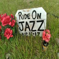 https://xinroot.com/files/pics/jazz/ride on jazz.jpg