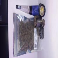 https://xinroot.com/files/pics/mmj/5-2-25/1000005588.jpg