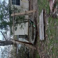 https://xinroot.com/files/pics/backyard/garden 3-7-24/20240307_175146.jpg