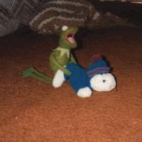 https://xinroot.com/files/pics/misc/froggy.gif