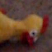https://xinroot.com/files/pics/misc/chicken.jpg