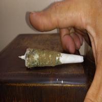https://xinroot.com/files/pics/mmj/4-20-24/20240420_003344.jpg