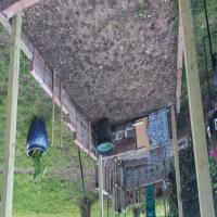 https://xinroot.com/files/pics/backyard/garden 3-20-23/20230320_184925.jpg