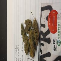 https://xinroot.com/files/pics/mmj/4-12-23/20230412_183718.jpg