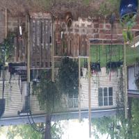 https://xinroot.com/files/pics/backyard/garden 3-20-23/20230320_184636.jpg