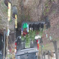 https://xinroot.com/files/pics/backyard/garden 3-2-24/20240302_165036.jpg