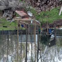 https://xinroot.com/files/pics/backyard/garden 3-7-24/20240307_175212.jpg