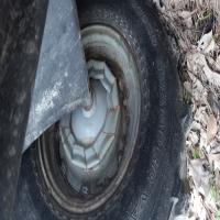 https://xinroot.com/files/pics/backyard/garden 3-7-24/20240307_175050.jpg