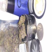 https://xinroot.com/files/pics/mmj/5-2-25/1000005589.jpg