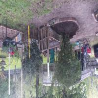 https://xinroot.com/files/pics/backyard/garden 3-20-23/20230320_184825.jpg