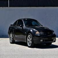 https://xinroot.com/files/pics/sd/sfw/new edge mustang/4-6-24/ComfyUI_temp_ghaxi_00002_.png