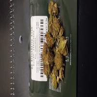 https://xinroot.com/files/pics/mmj/7-11-23/20230711_222001.jpg