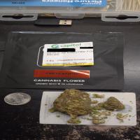https://xinroot.com/files/pics/mmj/2-24-23/20230225_002611.jpg