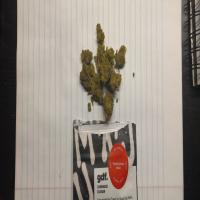 https://xinroot.com/files/pics/mmj/3-23-23/20230323_222008.jpg