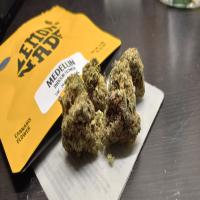 https://xinroot.com/files/pics/mmj/6-12-23/20230612_192732.jpg