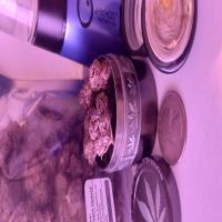 https://xinroot.com/files/pics/mmj/5-2-25/1000005590.jpg