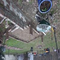 https://xinroot.com/files/pics/backyard/20230222_174501.jpg