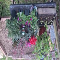 https://xinroot.com/files/pics/backyard/garden 3-20-23/20230320_184854.jpg