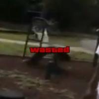 https://xinroot.com/files/pics/misc/wasted.png