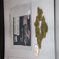 https://xinroot.com/files/pics/mmj/3-8-23/20230308_213304.jpg