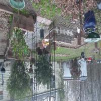 https://xinroot.com/files/pics/backyard/20230222_174439.jpg