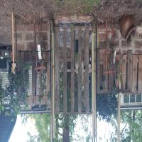 https://xinroot.com/files/pics/backyard/garden 3-20-23/20230320_185107.jpg
