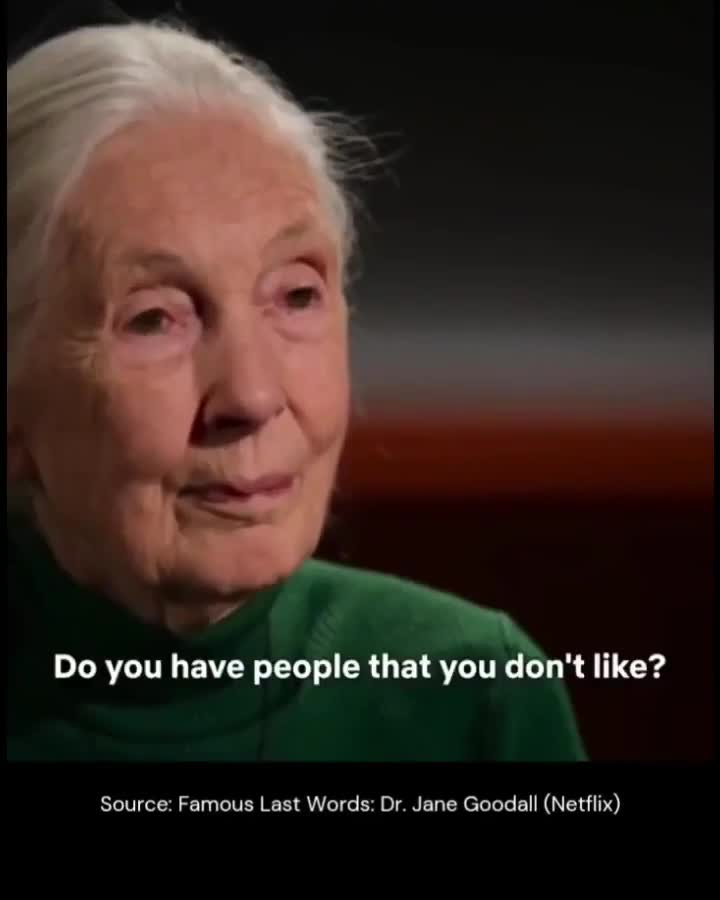 https://xinroot.com/files/pics/misc/dr_jane_goodall_filmed_an_interview_with_netflix.mp4
