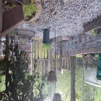 https://xinroot.com/files/pics/backyard/garden 3-20-23/20230320_184952.jpg