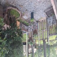 https://xinroot.com/files/pics/backyard/garden 3-20-23/20230320_184554.jpg